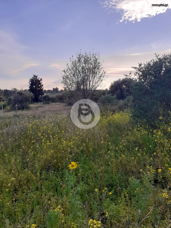 Οικόπεδο 5.700 τ.μ. πρός πώληση, Αργολίδα, Κρανίδι