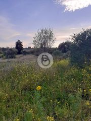 Οικόπεδο 5.700 τ.μ. για πώληση, Αργολίδα, Κρανίδι-thumb-2