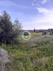 Οικόπεδο 5.700 τ.μ. για πώληση, Αργολίδα, Κρανίδι-thumb-7