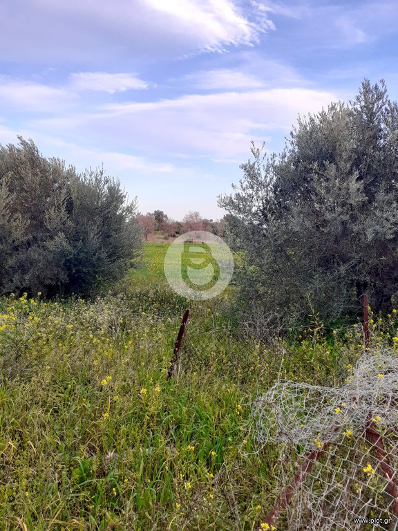 Οικόπεδο 5.700 τ.μ. πρός πώληση, Αργολίδα, Κρανίδι