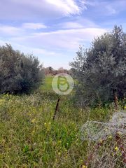 Οικόπεδο 5.700 τ.μ. για πώληση, Αργολίδα, Κρανίδι-thumb-1