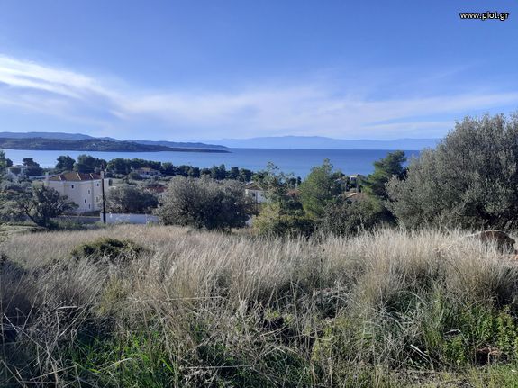 Land plot 2.002 sqm for sale, Argolis, Kranidi
