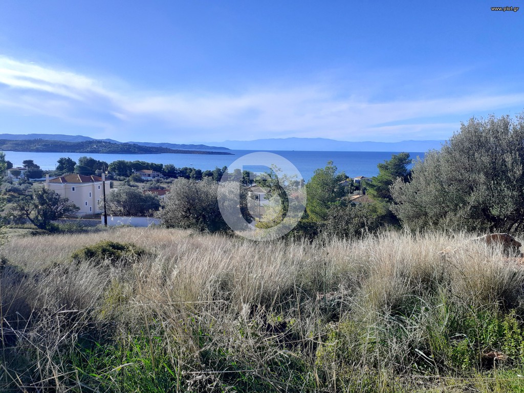Οικόπεδο 2.002 τ.μ. προς πώληση, Βερβερούδα