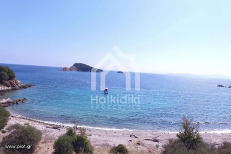 Αγροτεμάχια 40.000τ.μ. για πώληση-Παναγιά » Κέντρο