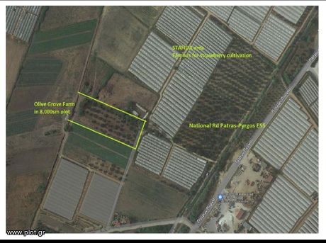 Αγροτεμάχια 7.283 τ.μ. για πώληση