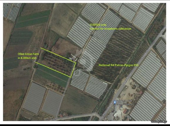 Αγροτεμάχια 7.283 τ.μ. για πώληση, Ν. Ηλείας, Βουπρασία