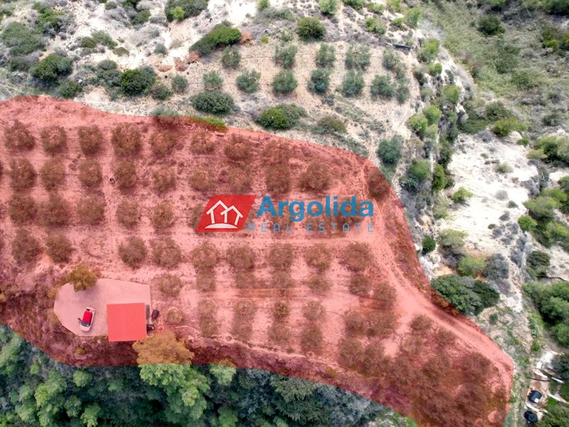Αγροτεμάχια 4.800 τ.μ. προς πώληση, Βαλτσαίικα