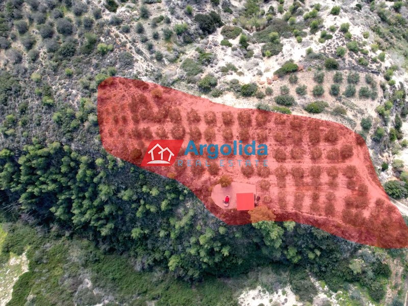 Αγροτεμάχια 4.800 τ.μ. προς πώληση, Βαλτσαίικα
