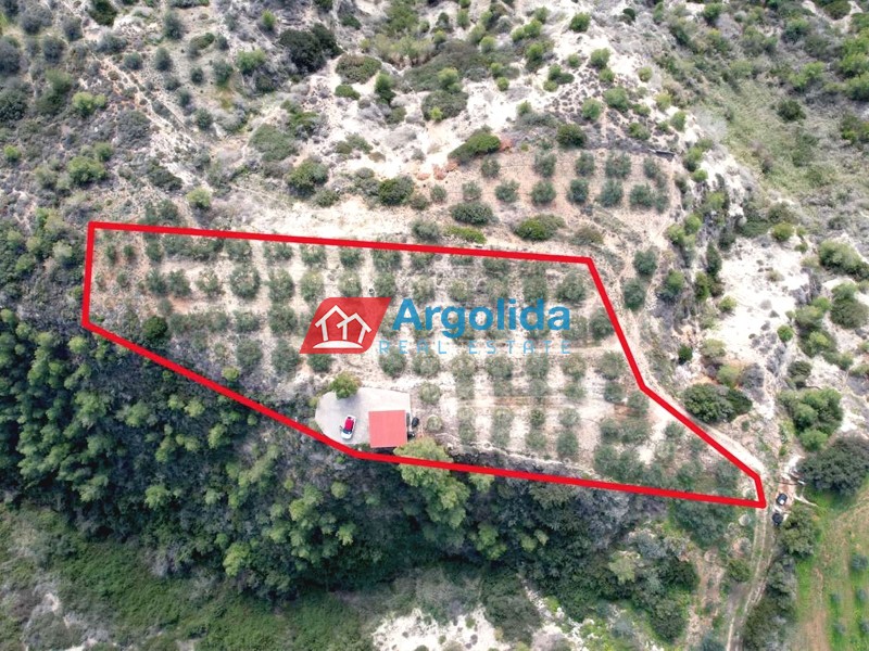 Αγροτεμάχια 4.800 τ.μ. προς πώληση, Βαλτσαίικα