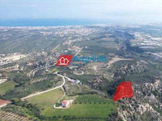 Αγροτεμάχια 4.800 τ.μ. για πώληση