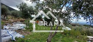 Οικόπεδο 4.000 τ.μ. για πώληση, Αχαΐα, Μεσσατίδα-thumb-5