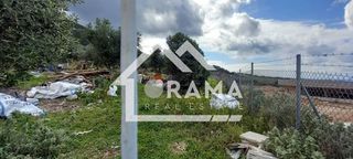 Οικόπεδο 4.000 τ.μ. για πώληση, Αχαΐα, Μεσσατίδα-thumb-10