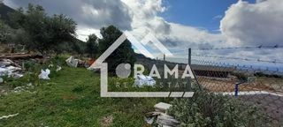 Οικόπεδο 4.000 τ.μ. για πώληση, Αχαΐα, Μεσσατίδα-thumb-7