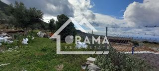 Οικόπεδο 4.000 τ.μ. για πώληση, Αχαΐα, Μεσσατίδα-thumb-6