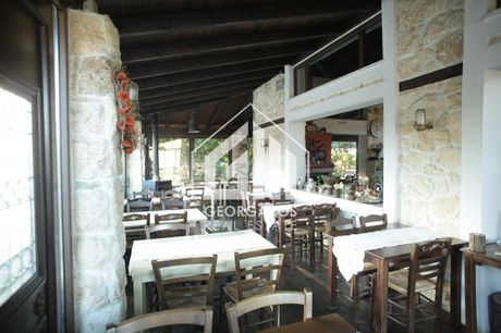 Hotel 480sqm for sale-Lachanas » Lefkochori