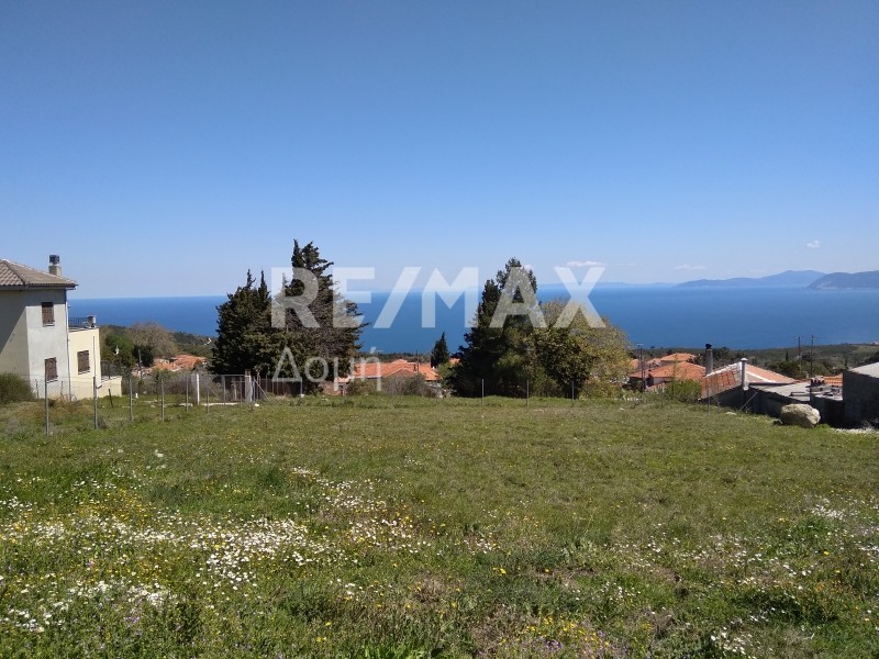 Οικόπεδο 1.060 τ.μ. πρός πώληση, Μαγνησία, Αφέτες