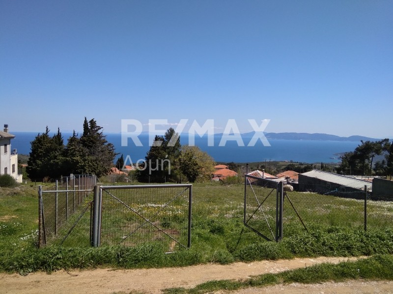 Οικόπεδο 1.060 τ.μ. πρός πώληση, Μαγνησία, Αφέτες