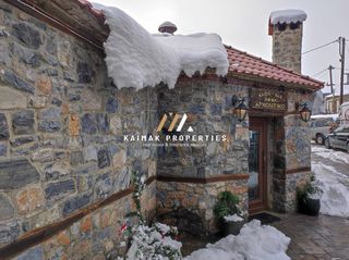 Ξενοδοχείο 320 τ.μ. για πώληση, Πέλλα, Βεγορίτιδα-thumb-5