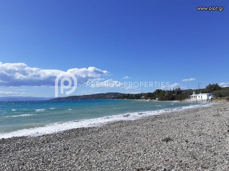 Αγροτεμάχια 5.137 τ.μ. για πώληση