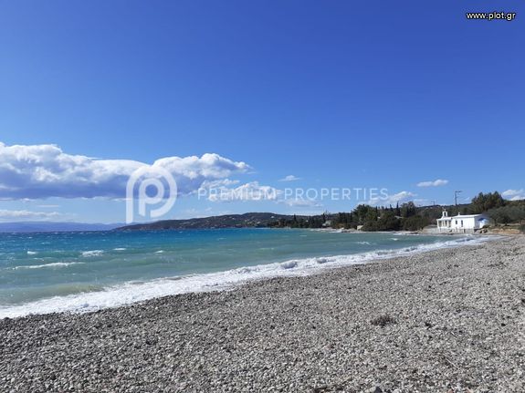 Αγροτεμάχια 5.137 τ.μ. για πώληση, Αργολίδα, Κρανίδι