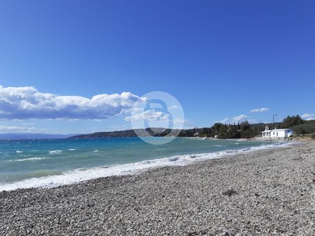 Αγροτεμάχια 5.137τ.μ. για πώληση-Κρανίδι » Πορτοχέλι