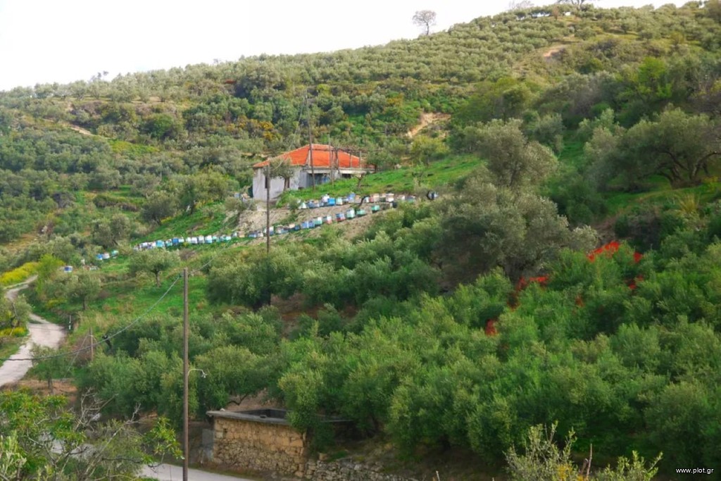 Μονοκατοικία 141 τ.μ. προς πώληση, Δελιανά Κολυμβαρίου