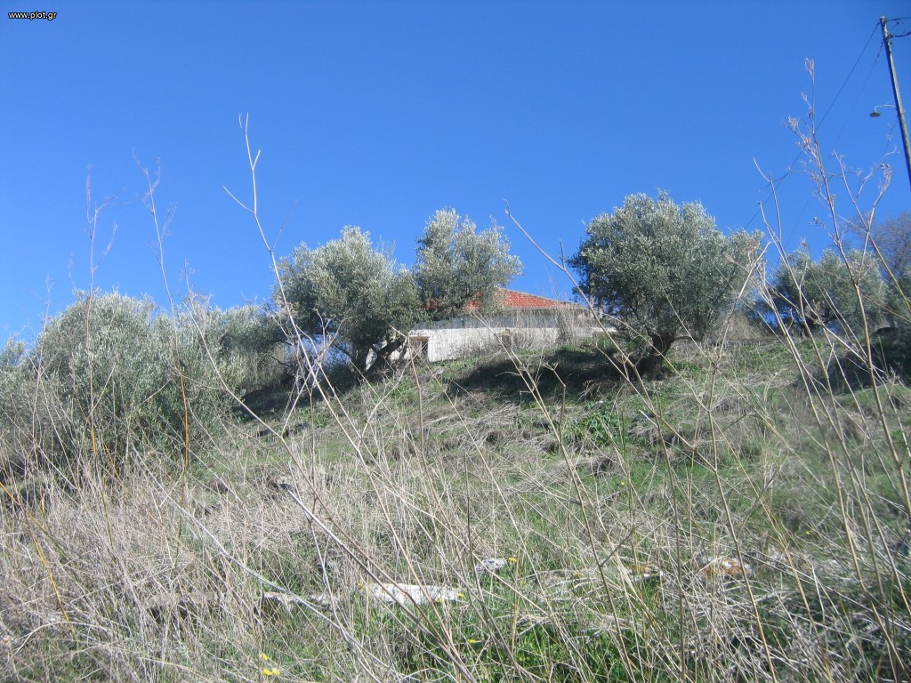 Μονοκατοικία 141 τ.μ. προς πώληση, Δελιανά Κολυμβαρίου