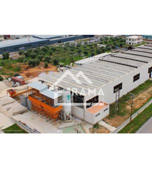 Industrial space 5.700sqm for sale-Olenia » Agios Stefanos