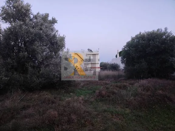 Land plot 240 sqm for sale, Athens - East, Paiania