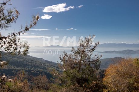 Parcel 6.354sqm for sale-Portaria » Katochori