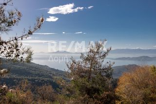 Αγροτεμάχια 6.354 τ.μ. για πώληση