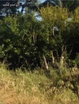 Land plot 570sqm for sale-Argyroupoli » Center