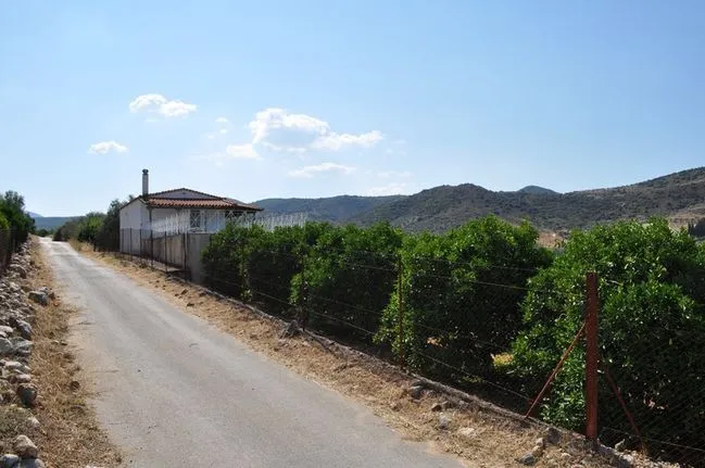 Parcel 20.000 sqm for sale, Argolis, Nea Tirintha