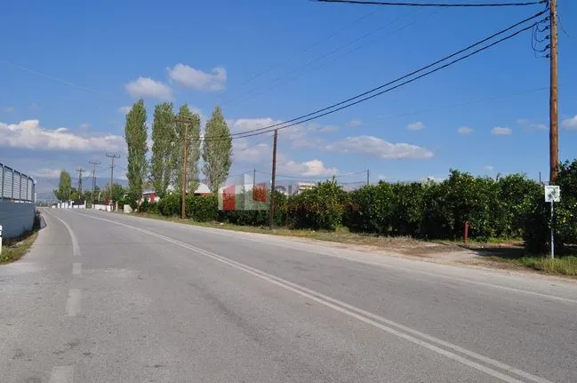 Parcel 8.000 sqm for sale, Argolis, Nea Tirintha