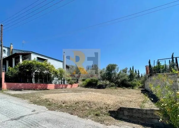 Land plot 244 sqm for sale, Athens - East, Paiania