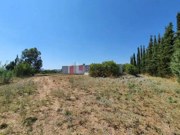 Parcel 6.200 sqm for sale, Argolis, Nea Tirintha