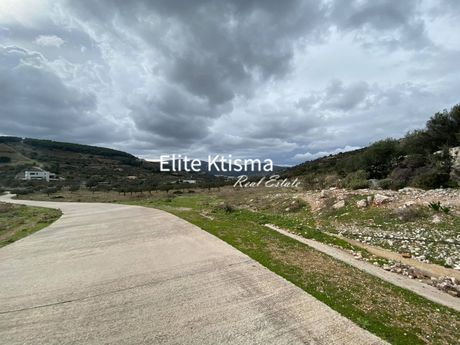 Αγροτεμάχια 12.000τ.μ. για πώληση-Κουβαράς » Νέος κουβαράς