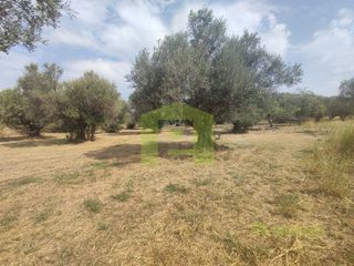 Αγροτεμάχια 1.628 τ.μ. για πώληση, Αχαΐα, Ρίο-thumb-6