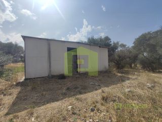 Αγροτεμάχια 1.628 τ.μ. για πώληση, Αχαΐα, Ρίο-thumb-14