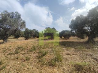 Αγροτεμάχια 1.628 τ.μ. για πώληση, Αχαΐα, Ρίο-thumb-4
