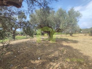 Αγροτεμάχια 1.628 τ.μ. για πώληση, Αχαΐα, Ρίο-thumb-17