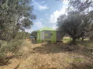 Αγροτεμάχια 1.628 τ.μ. για πώληση, Αχαΐα, Ρίο-thumb-11