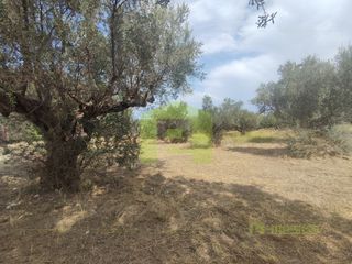 Αγροτεμάχια 1.628 τ.μ. για πώληση, Αχαΐα, Ρίο-thumb-16