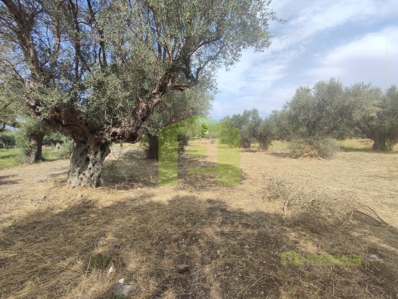 Αγροτεμάχια 1.628 τ.μ. προς πώληση, Αραχωβίτικα Ρίου