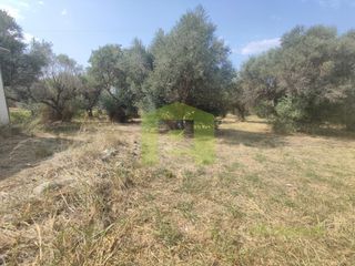 Αγροτεμάχια 1.628 τ.μ. για πώληση, Αχαΐα, Ρίο-thumb-19
