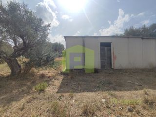 Αγροτεμάχια 1.628 τ.μ. για πώληση, Αχαΐα, Ρίο-thumb-13