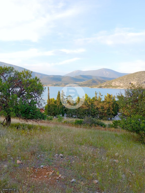 Οικόπεδο 4.004 τ.μ. πρός πώληση, Αργολίδα, Κρανίδι