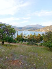 Οικόπεδο 4.004 τ.μ. για πώληση, Αργολίδα, Κρανίδι-thumb-3