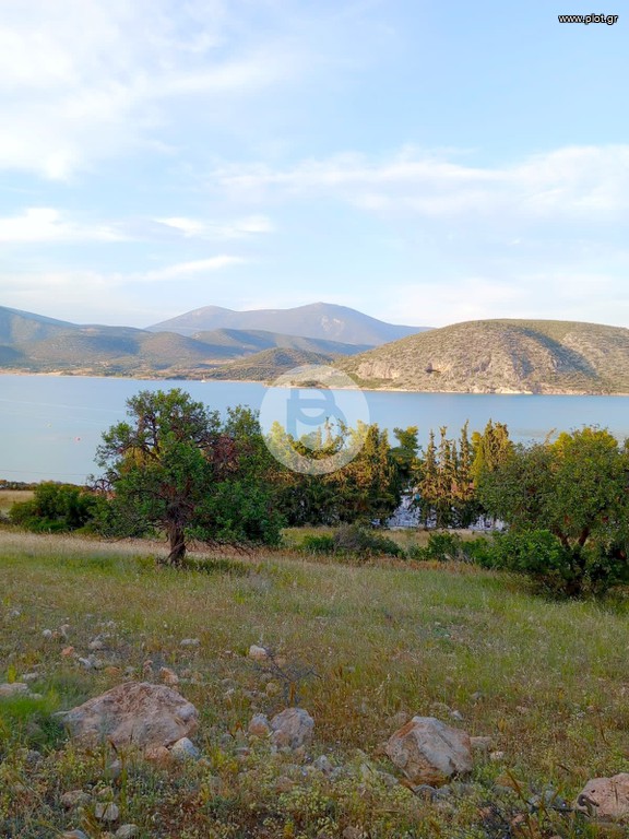 Οικόπεδο 4.004 τ.μ. πρός πώληση, Αργολίδα, Κρανίδι