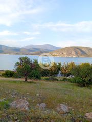 Οικόπεδο 4.004 τ.μ. για πώληση, Αργολίδα, Κρανίδι-thumb-2